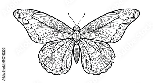 Detailed butterfly coloring page for adults displays intricate mandala patterns and symmetric wing designs on plain white background.