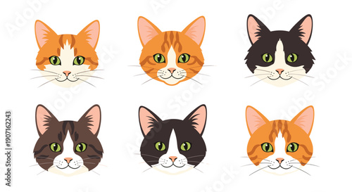 Collection of six different cat breed portraits shows various feline faces with green eyes arranged in neat horizontal rows.