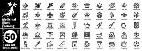 Medicinal plant farming line art icons set. Showing moringa pod amica flower eucalyptus branch, ginger knob, cannabis leaf with irrigation drippers, and herb grinder line graphics vector illustration.