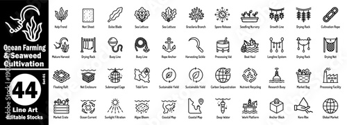 Ocean farming and seaweed cultivation icons set. Line art icon contains kelp frond, nori sheet, dulse blade, sea lettuce, gracilaria branch, and spore release vector illustration.
