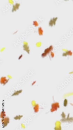 Falling Autumn Leaves on White Background Loop