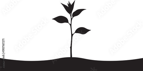Single small plant seedling growing from dark soil silhouette vector illustration concept