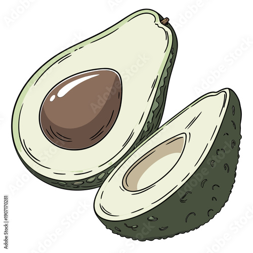 Avocado Whole and Halved with Pit Vector Illustration