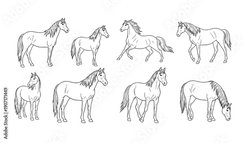Hand-drawn minimalist horse line art vector set, simple black and white horse outlines for decor and design
