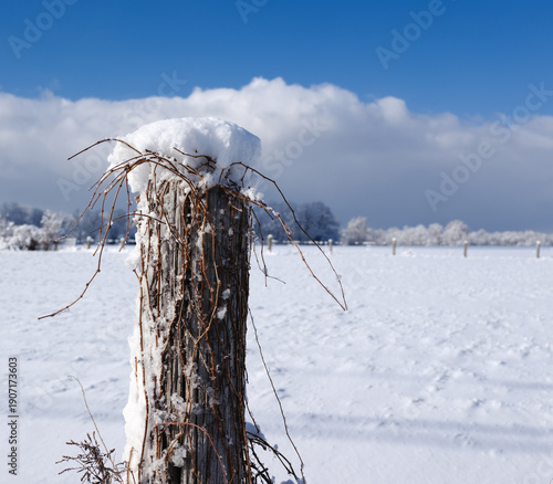 Картината върху платно Frozen with ice and snow a long fence post sits in a farmers field after a passi