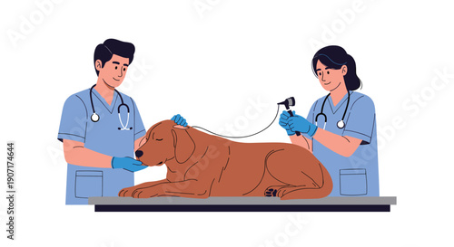 Two veterinarians are examining a brown dog on a table, one uses an otoscope, against a white background.
