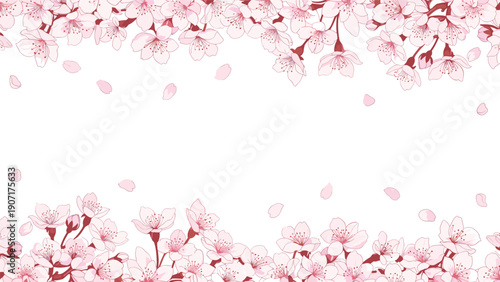 Pink cherry blossoms frame a clean white background in this delicate spring themed floral border illustration for greeting cards.