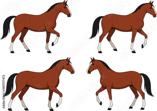 Bay Brown Horse Vector Character Set with Different Walking Poses and Facing Directions for Equestrian Sports, Ranch Branding, Farm Animal Illustrations, and Nature Designs