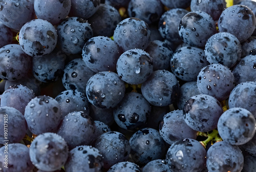 Fresh Blueberries in Hands Close Up