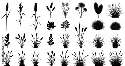 Grass plant silhouette icons, botanical foliage vector illustration, ornamental nature design set, landscape ecosystem art flat vector