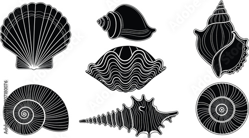Detailed black and white woodcut-style vector set featuring seven diverse seashell silhouettes with intricate internal line art