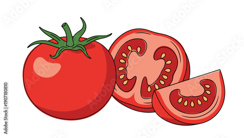 Fresh ripe red tomato illustration showing a whole vegetable with green stem along with a half slice and a smaller wedge on white.