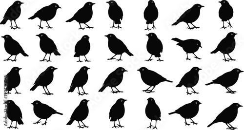 Crow bird silhouettes collection wildlife nature cad drawing flat vector illustration isolated black shapes set