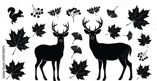 Deer nature silhouette icons, wildlife forest vector illustration, autumn leaves squirrel berries design set, seasonal ecosystem art flat vector