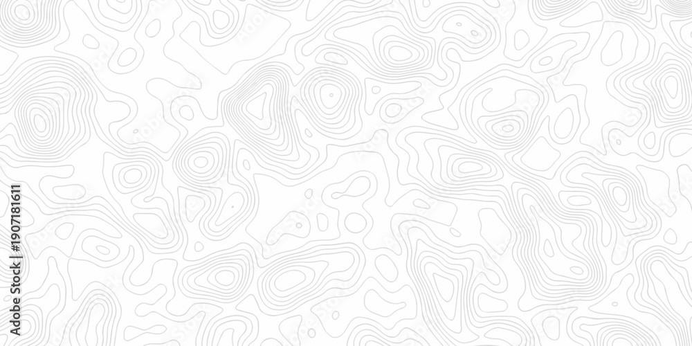 Fototapeta premium Minimal white line geometric grid outline curve counter map and wavy topography relief discovery area white, black line texture background.