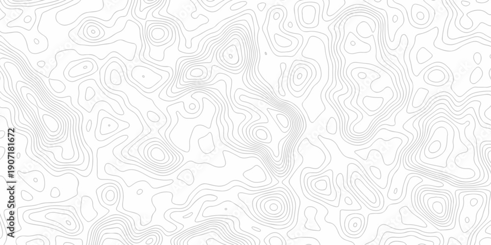 Fototapeta premium Minimal white line geometric grid outline curve counter map and wavy topography relief discovery area white, black line texture background.