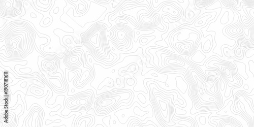 Minimal white line geometric grid outline curve counter map and wavy topography relief discovery area white, black line texture background.