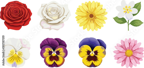 Colorful floral vector illustration set featuring roses daisies and pansies with decorative botanical flowers collection isolated on background
