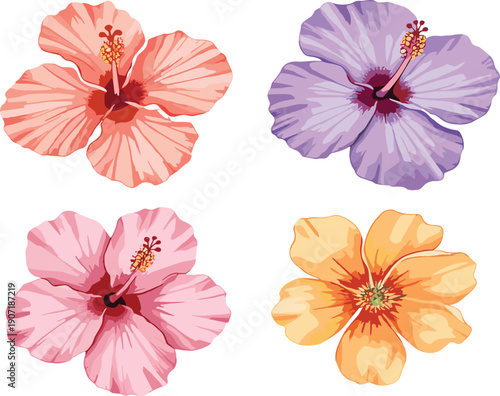 Colorful hibiscus flower collection vector illustration featuring tropical floral elements isolated decorative botanical design set