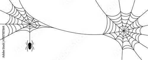 Halloween spider web border background with hanging spider silhouette, black line art cobweb frame isolated on white for spooky decoration and banner design.