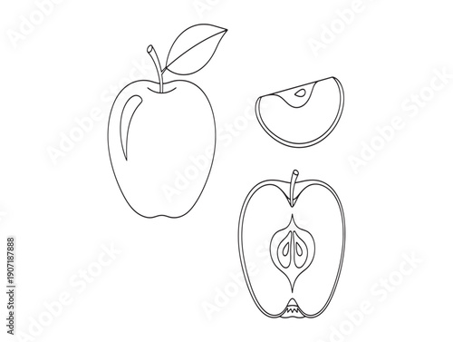 Detailed illustrations of a whole apple and its cross sections