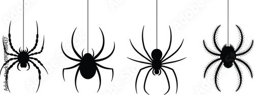 Set of hanging spider silhouettes on threads, spooky Halloween black vector collection isolated on white background for horror decoration, creepy design, and scary concept.