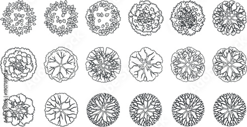 Vector Set of Tree and Shrub Top View Symbols for Landscape Design, Garden Planning and Architectural Site Maps
