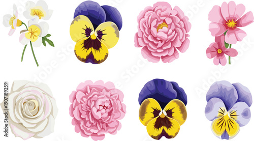 Elegant pastel flower vector illustration set featuring roses pansies and blooming botanical floral elements isolated on background