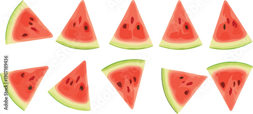 Fresh watermelon slice collection juicy summer fruit pieces isolated food vector illustration set