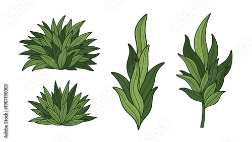 Four green botanical plant clumps including thick leafy bushes and tall grass like stalks in a detailed hand drawn style.