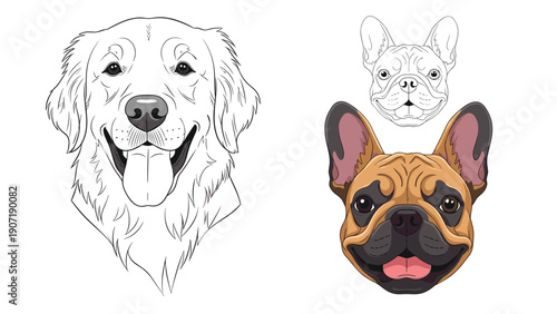 Dog head illustrations featuring a smiling golden retriever outline and a French bulldog in both color and line art styles.