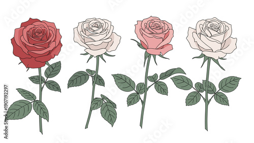 Set of four realistic rose stalks with blossoms in various stages of bloom and detailed green foliage for floral design projects.