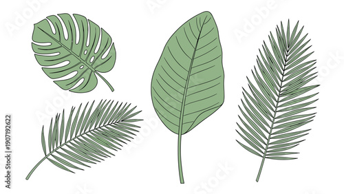 Collection of green tinted tropical leaves in a detailed engraving style including monstera and palm fronds for botanical projects.