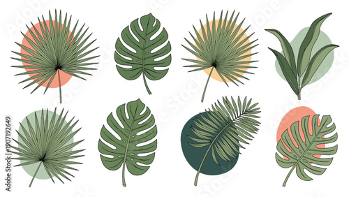 Tropical leaf illustrations in a vintage engraving style paired with abstract organic shapes for a modern botanical design look.