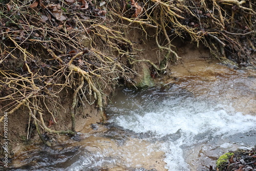 Tablou pe pânză undercut Stream area