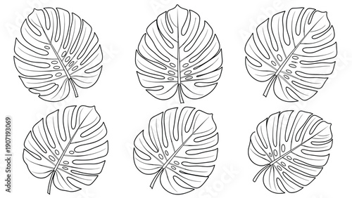 Minimalist monstera leaf line art collection features six different hand drawn tropical foliage designs for nature branding projects.
