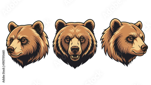 Retro bear mascot head illustrations show the animal from three different angles for sports team branding or outdoors lifestyle logos.