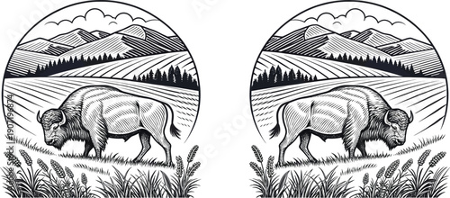 Two elephants standing in a field isolated on transparent background