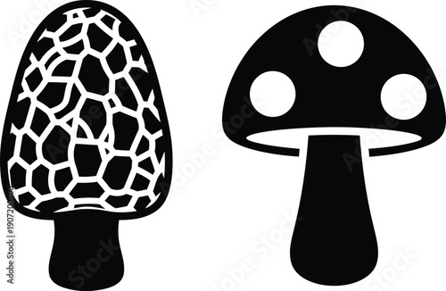 black and white illustration of two different mushroom types side by side