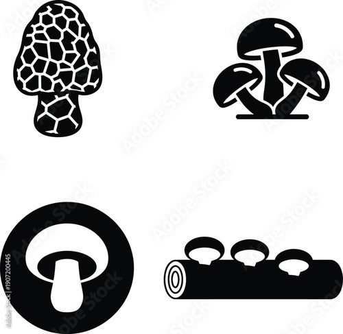 Black and white illustrations of different types of mushrooms on white background