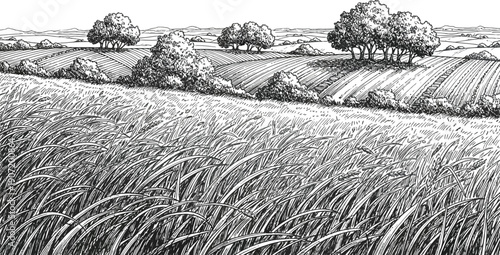 Tall wild grasses sway vigorously in the foreground of a detailed, hand-drawn, black and white pastoral landscape scene.