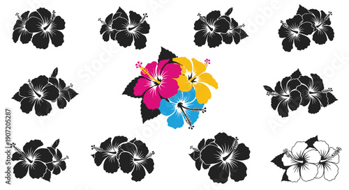 Hibiscus flower arrangement with colorful blooms and black silhouettes