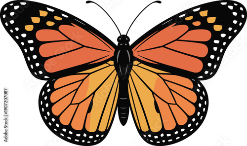 Monarch Butterfly Close-Up on White Background, Vibrant Orange and Black Wings, Stock Illustration