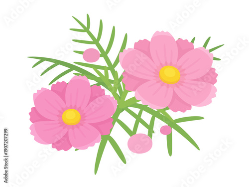 かわいいコスモスのイラスト素材