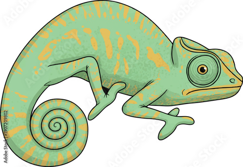 chameleon vector illustration