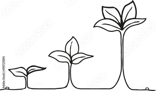 Continuous Line Drawing of Plant Growth Stages and Development