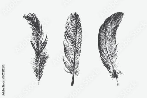 Black feather illustration with fine grain texture in a minimalist style, for grunge punk y2k collage design