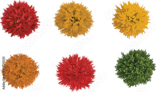 Autumn, Tree, Canopy, Topview, Foliage, Forest, Nature, Landscape, Seasonal, Colorful, Leaves, Vector, Illustration, Design, Botanical, Environment, Park, Natural, Decorative, Collection