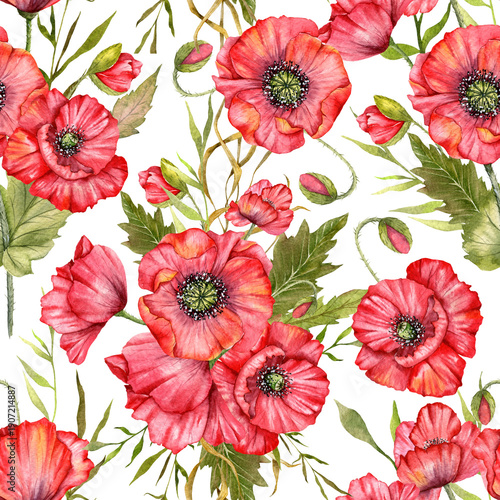 Poppy Seamless Pattern Hand Painted Watercolor. Summer Seamless background with Red Blooming Poppies