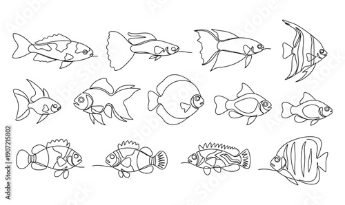 Eleven ornamental fish illustrated in minimalist continuous one-line art style, flat vector illustration, single continuous line for each fish, clean smooth strokes, no shading_26
